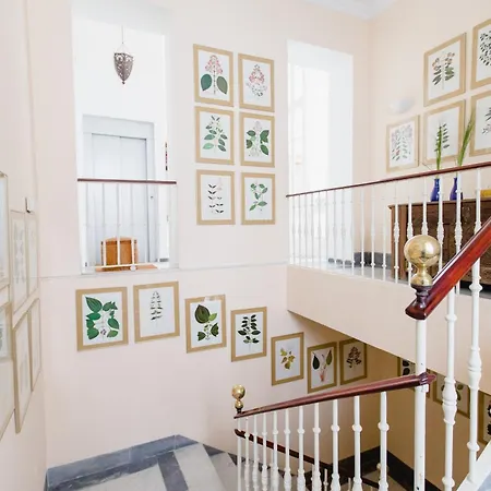 Duplex De La Botanica De Cadiz